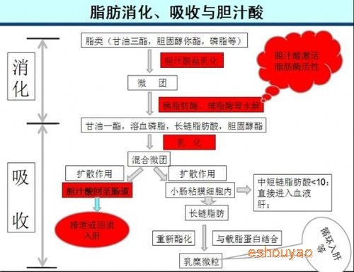 【龙昌胆汁酸】功能性物质在规模化养殖中将越来越重要