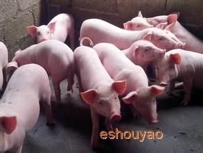 兴旺兽药批发